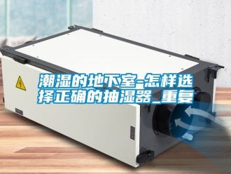 企业新闻潮湿的地下室-怎样选择正确的抽湿器_重复