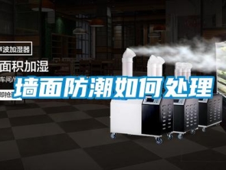 常见问题墙面防潮如何处理
