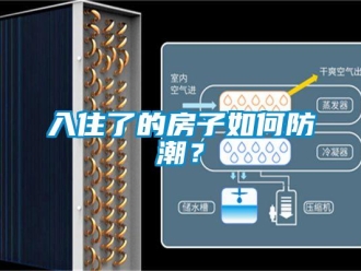 常见问题入住了的房子如何防潮？