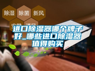 行业新闻进口除湿器哪个牌子好_哪些进口除湿器值得购买