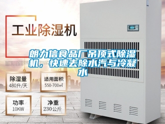 行业新闻朗力信食品厂吊顶式除湿机，快速去除水汽与冷凝水