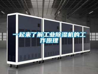 常见问题一起来了解工业除湿机的工作原理