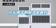 什么牌子的除湿机最好？