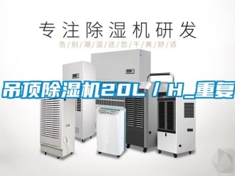 行业新闻吊顶除湿机20L／H_重复