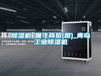 常见问题除湿机_雁飞商贸(图)_青岛工业除湿机