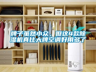 行业新闻牌子虽然小众，但这4款除湿机真比大牌空调好用多了