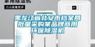 黑龙江省北安市档案局批量采购某品牌商用环保除湿机