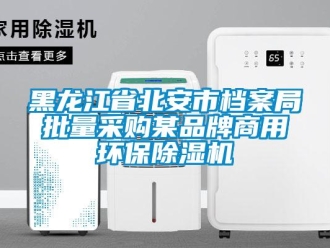 行业新闻黑龙江省北安市档案局批量采购某品牌商用环保除湿机