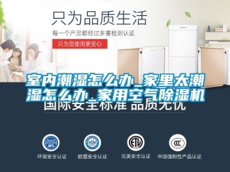 常见问题室内潮湿怎么办_家里太潮湿怎么办_家用空气除湿机