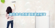 湖北步入式恒温恒湿试验室