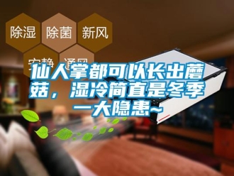 知识百科仙人掌都可以长出蘑菇，湿冷简直是冬季一大隐患~