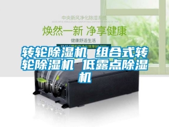 常见问题转轮除湿机 组合式转轮除湿机 低露点除湿机
