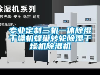 常见问题专业定制三机一体除湿干燥机蜂巢转轮除湿干燥机除湿机