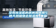 没有除湿机的房间如何用5种天然植物去除湿度_重复