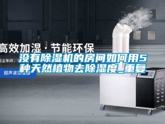 行业新闻没有除湿机的房间如何用5种天然植物去除湿度_重复