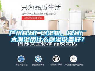 行业新闻广州食品厂除湿机，食品厂太潮湿用什么除湿设备好？