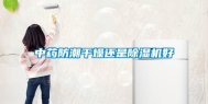 中药防潮干燥还是除湿机好