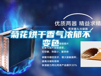 行业新闻菊花烘干香气浓郁不变色