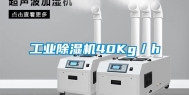 工业除湿机40Kg／h