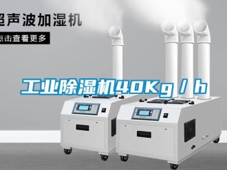 企业新闻工业除湿机40Kg／h