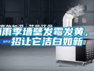 行业新闻梅雨季墙壁发霉发黄，4招让它洁白如新