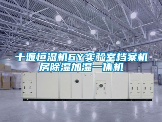 知识百科十堰恒湿机6Y实验室档案机房除湿加湿一体机