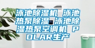 泳池除湿机 泳池热泵除湿 泳池除湿热泵空调机 POLAR生产