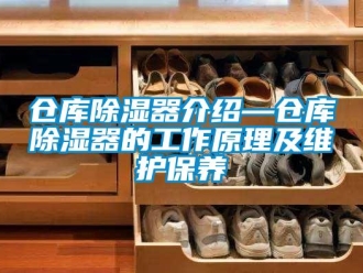 企业新闻仓库除湿器介绍—仓库除湿器的工作原理及维护保养