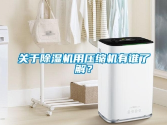 企业新闻关于除湿机用压缩机有谁了解？