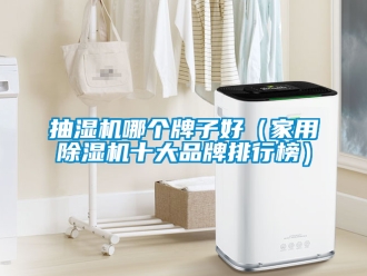 企业新闻抽湿机哪个牌子好（家用除湿机十大品牌排行榜）