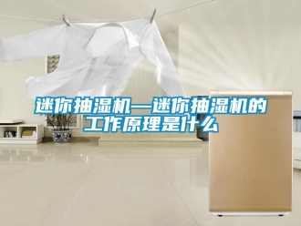 企业新闻迷你抽湿机—迷你抽湿机的工作原理是什么