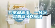 四季都潮湿，一台除湿机就可以解决