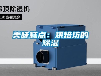行业新闻美味糕点：烘焙坊的除湿