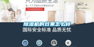 除湿机的效果怎么样