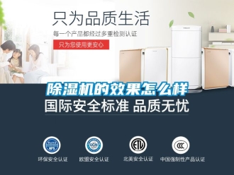 企业新闻除湿机的效果怎么样