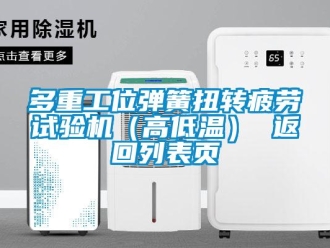 常见问题多重工位弹簧扭转疲劳试验机（高低温） 返回列表页