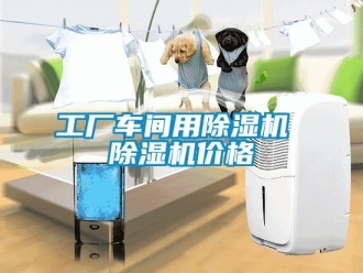 企业新闻工厂车间用除湿机 除湿机价格