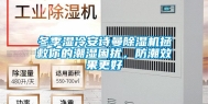 冬季湿冷安诗曼除湿机拯救你的潮湿困扰，防潮效果更好