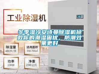 企业新闻冬季湿冷安诗曼除湿机拯救你的潮湿困扰，防潮效果更好