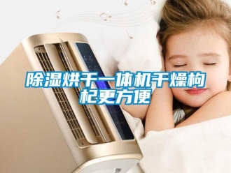 常见问题除湿烘干一体机干燥枸杞更方便