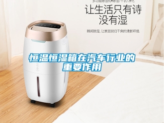 知识百科恒温恒湿箱在汽车行业的重要作用