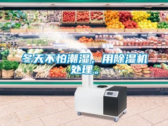 企业新闻冬天不怕潮湿，用除湿机处理。