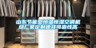 山东节能型恒温恒湿空调机组厂家定制德祥可靠性高
