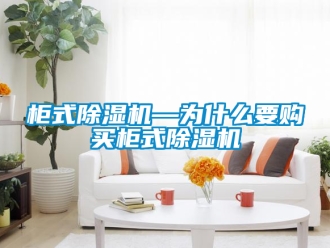 行业新闻柜式除湿机—为什么要购买柜式除湿机