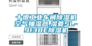 十堰工业车间除湿机空气抽湿器,湿菱SL-9138E除湿机