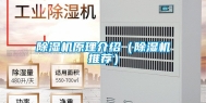 除湿机原理介绍（除湿机推荐）