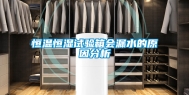 恒温恒湿试验箱会漏水的原因分析