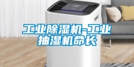 工业除湿机-工业抽湿机命长