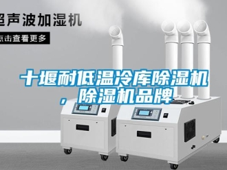 企业新闻十堰耐低温冷库除湿机，除湿机品牌