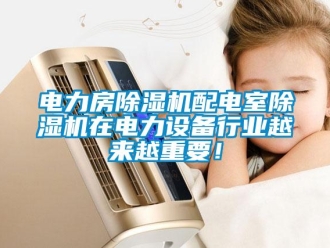企业新闻电力房除湿机配电室除湿机在电力设备行业越来越重要！